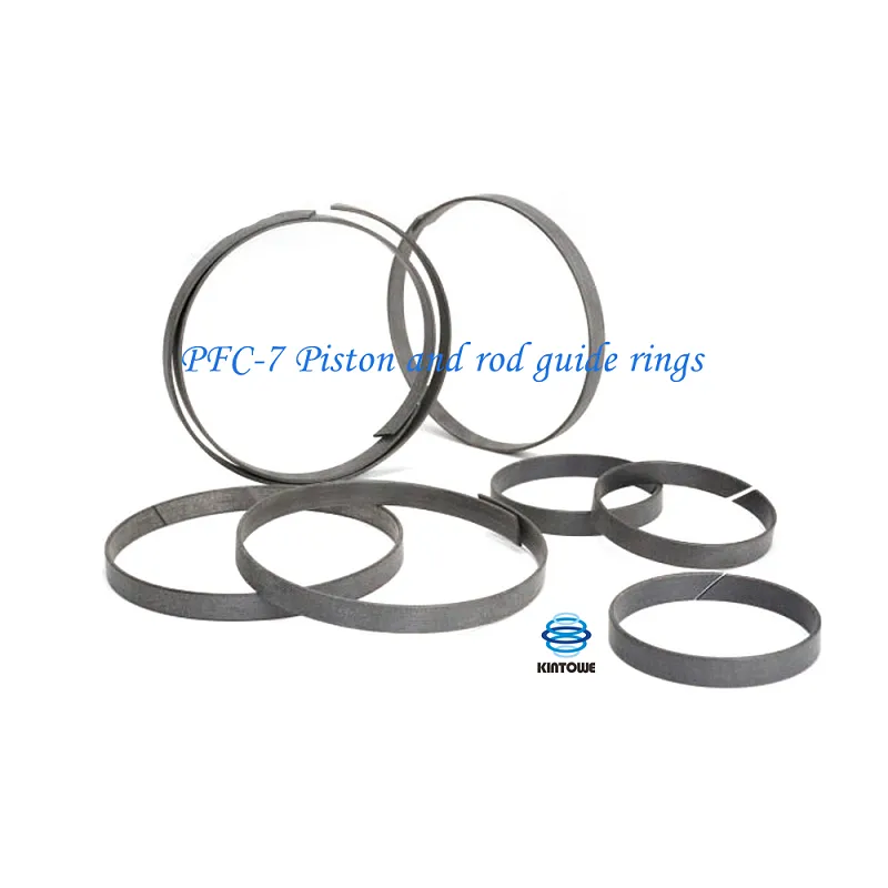 Piston And Rod Guide Rings