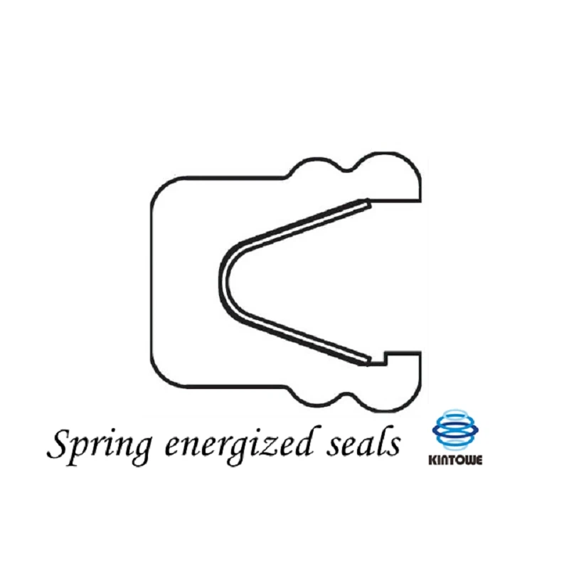 Spring Energized Seals